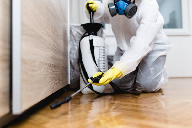 Best Pest Prevention Services  in Seaford, NY