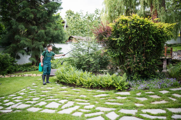 Best Pest Control Treatment  in Seaford, NY