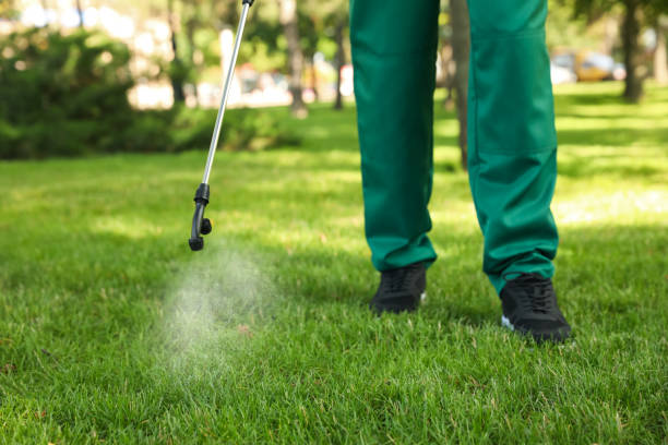 Best Termite Control Services  in Seaford, NY