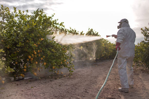 Best Commercial Pest Control Services  in Seaford, NY