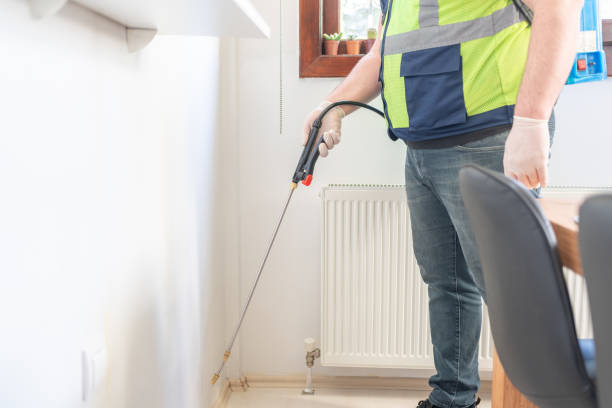 Best Termite Control Services  in Seaford, NY
