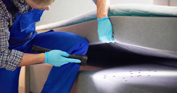 Best Rat Extermination Near Me  in Seaford, NY