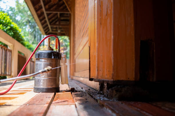 Best Cockroach Control Services  in Seaford, NY