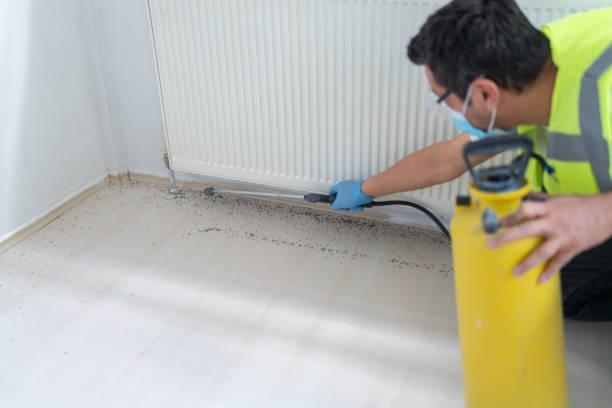 Best Wasp Removal Services  in Seaford, NY