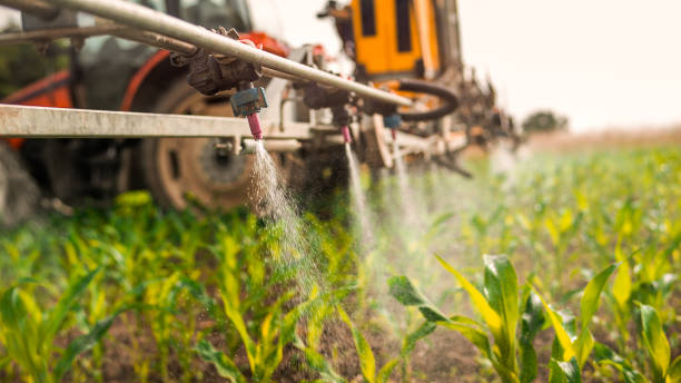 Best Best Pest Control Companies  in Seaford, NY